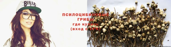 первитин Костерёво