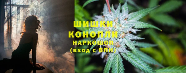 крисы Краснослободск